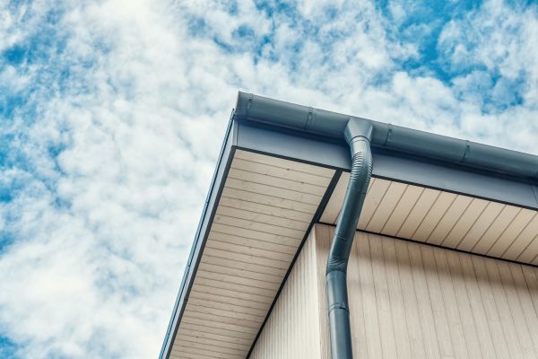 Professional Gutter Fascia Repair